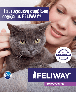 Feliway